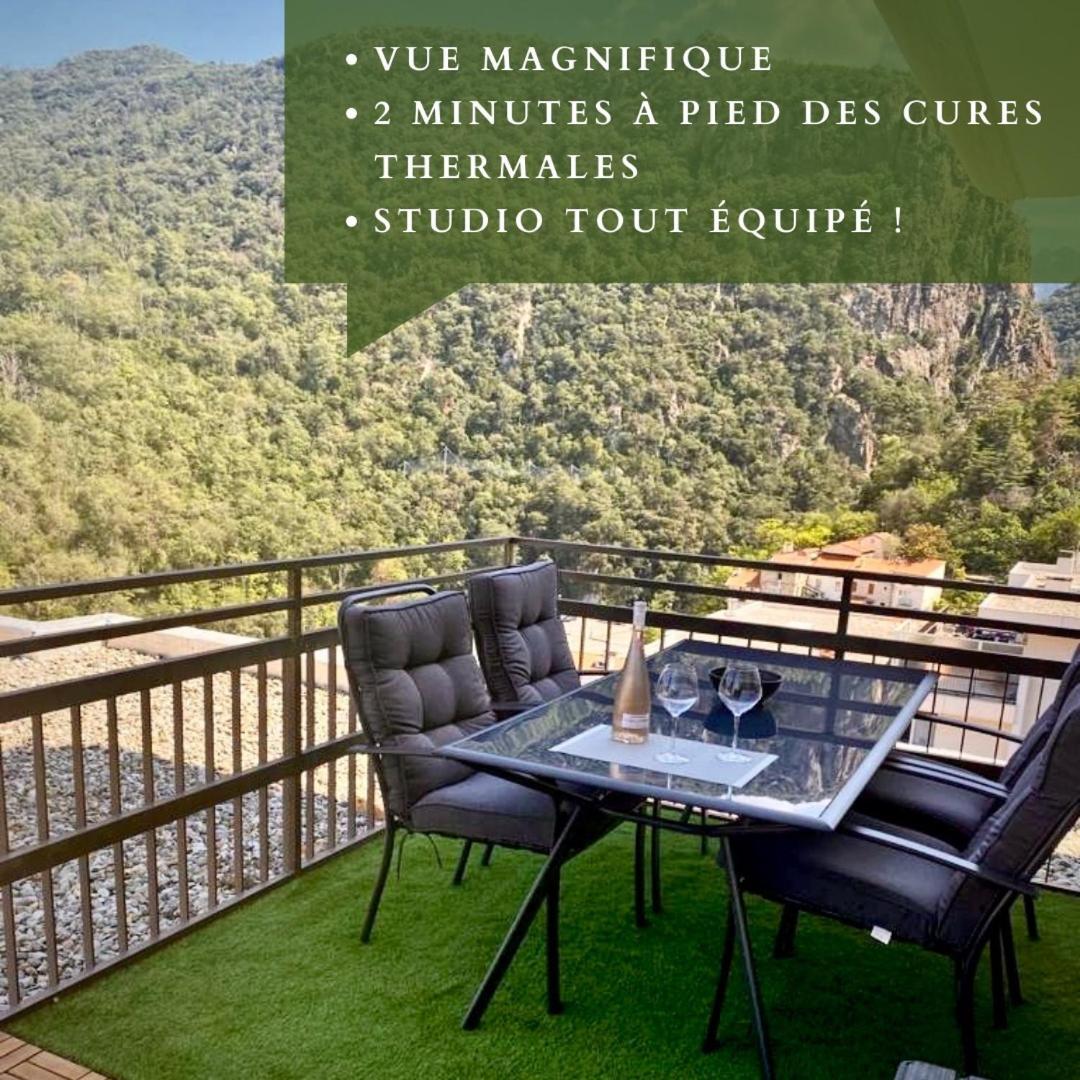 Studio Tout Equipe Amelie-les-Bains-Palalda Bagian luar foto